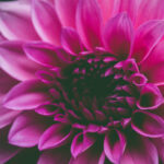 Our Affordable SEO Company in Idaho: Strategic Approach